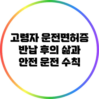 고령자 운전면허증 반납 후의 삶과 안전 운전 수칙