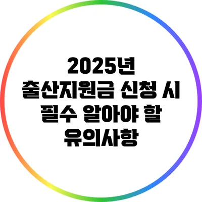2025년 출산지원금 신청 시 필수 알아야 할 유의사항