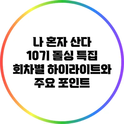 나 혼자 산다 10기 돌싱 특집: 회차별 하이라이트와 주요 포인트