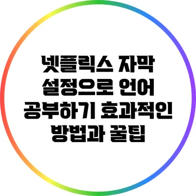넷플릭스 자막 설정으로 언어 공부하기: 효과적인 방법과 꿀팁