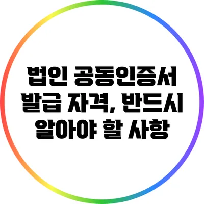 법인 공동인증서 발급 자격, 반드시 알아야 할 사항