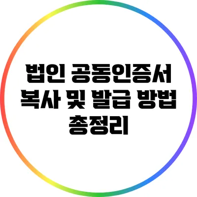 법인 공동인증서 복사 및 발급 방법 총정리