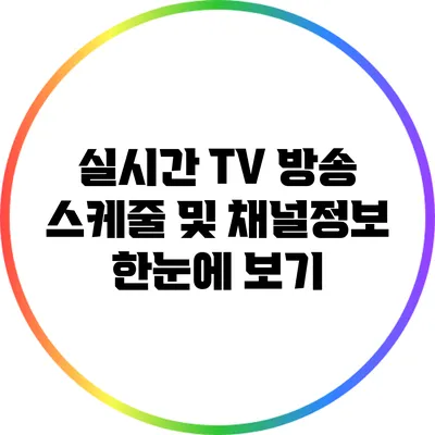 실시간 TV 방송 스케줄 및 채널정보 한눈에 보기