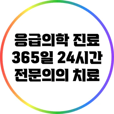 응급의학 진료: 365일 24시간 전문의의 치료