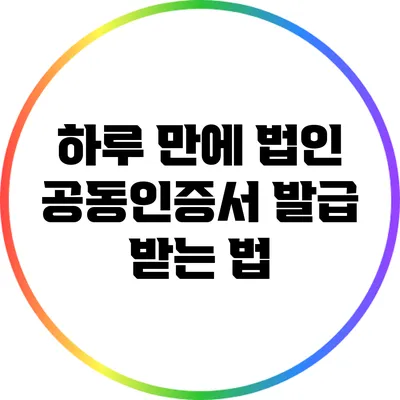 하루 만에 법인 공동인증서 발급 받는 법