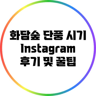 화담숲 단풍 시기 Instagram 후기 및 꿀팁