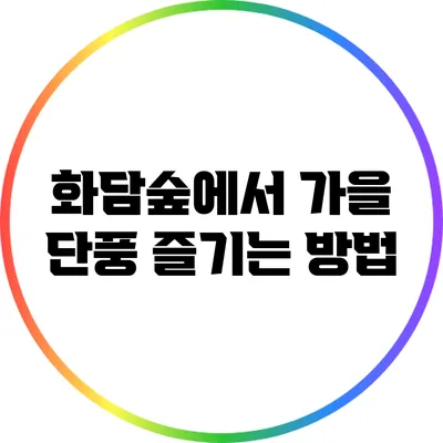 화담숲에서 가을 단풍 즐기는 방법