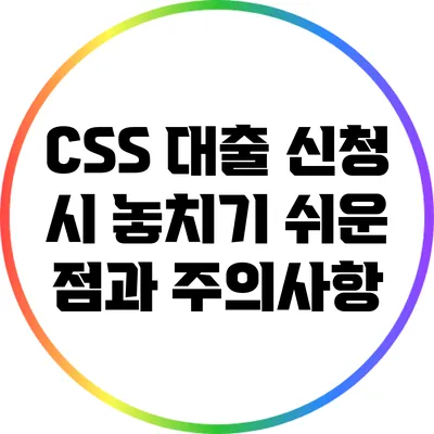CSS 대출 신청 시 놓치기 쉬운 점과 주의사항