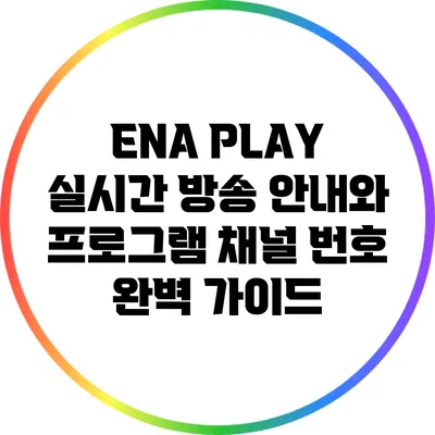 ENA PLAY 실시간 방송 안내와 프로그램 채널 번호 완벽 가이드