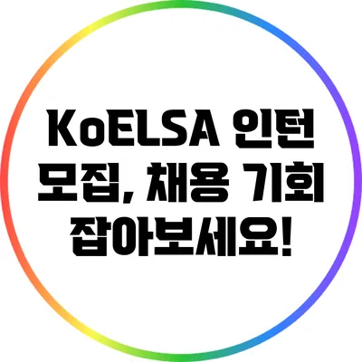 KoELSA 인턴 모집, 채용 기회 잡아보세요!