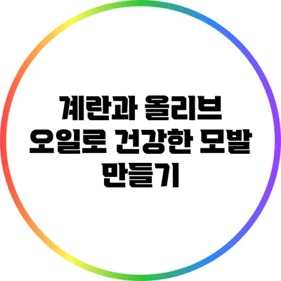 계란과 올리브 오일로 건강한 모발 만들기