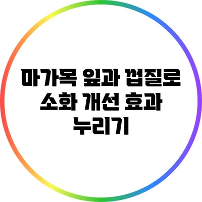 마가목 잎과 껍질로 소화 개선 효과 누리기
