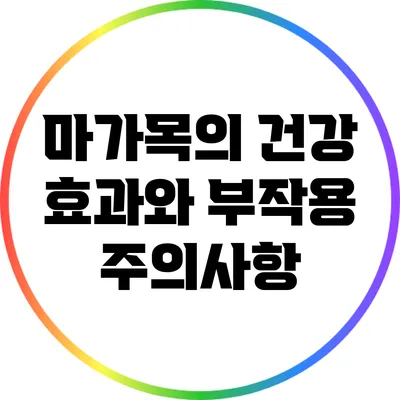 마가목의 건강 효과와 부작용 주의사항