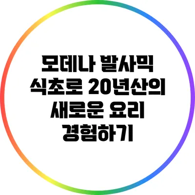 모데나 발사믹 식초로 20년산의 새로운 요리 경험하기