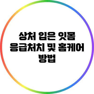 상처 입은 잇몸 응급처치 및 홈케어 방법