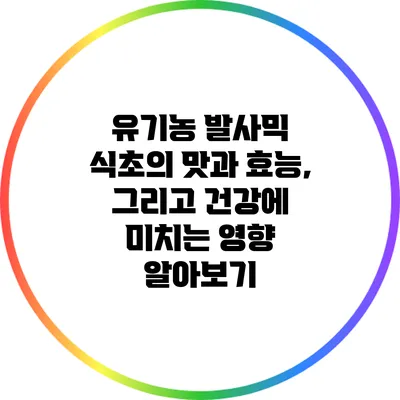 유기농 발사믹 식초의 맛과 효능, 그리고 건강에 미치는 영향 알아보기