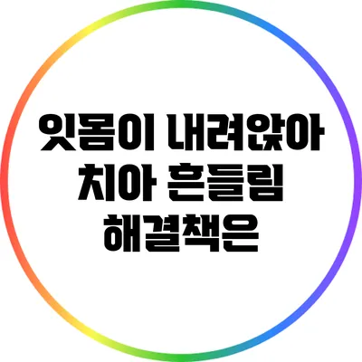 잇몸이 내려앉아 치아 흔들림: 해결책은?