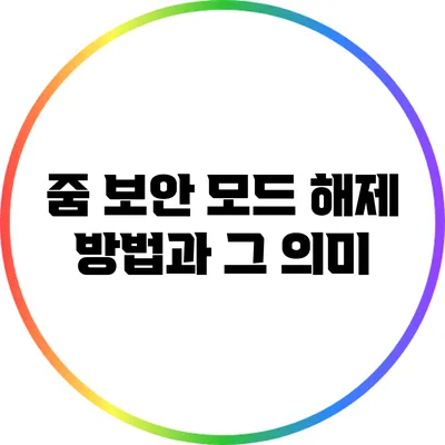 줌 보안 모드 해제 방법과 그 의미