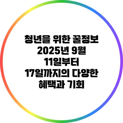 청년을 위한 꿀정보: 2025년 9월 11일부터 17일까지의 다양한 혜택과 기회