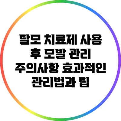 탈모 치료제 사용 후 모발 관리 주의사항: 효과적인 관리법과 팁