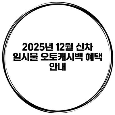 2025년 12월 신차 일시불 오토캐시백 혜택 안내