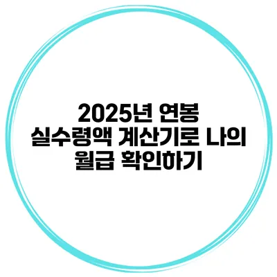 2025년 연봉 실수령액 계산기로 나의 월급 확인하기