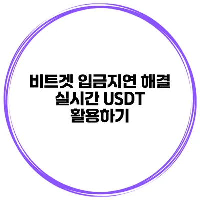 비트겟 입금지연 해결 실시간 USDT 활용하기