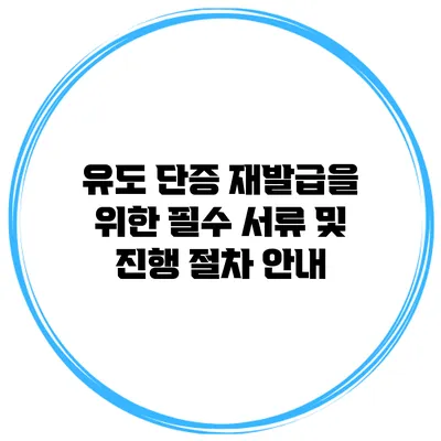 유도 단증 재발급을 위한 필수 서류 및 진행 절차 안내